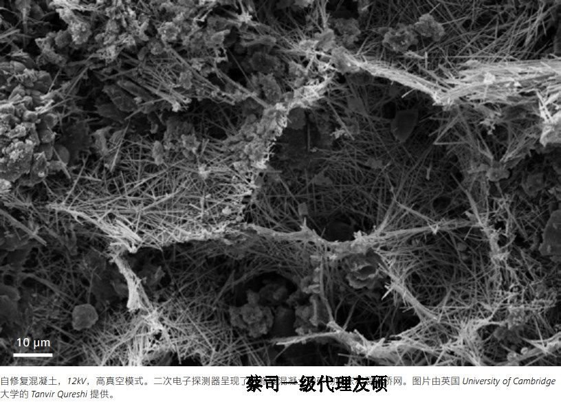巫溪蔡司巫溪扫描电镜