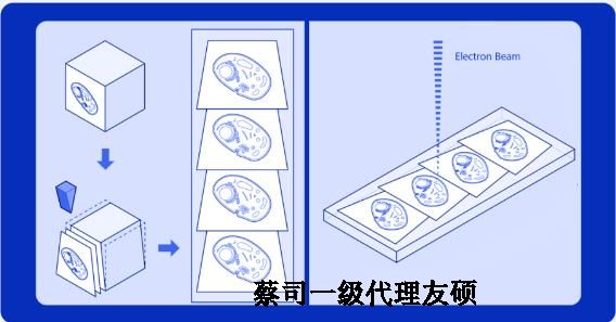 巫溪蔡司巫溪扫描电镜